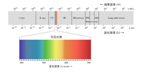 白光能量